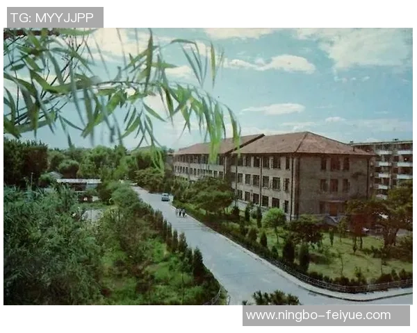 北京乒乓球队的成长历程与辉煌成就全景回顾与展望 北京乒乓球队的成长历程与辉煌成就全景回顾与展望