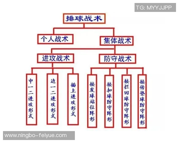杭州排球队的转换打法深度解析与战术创新探讨