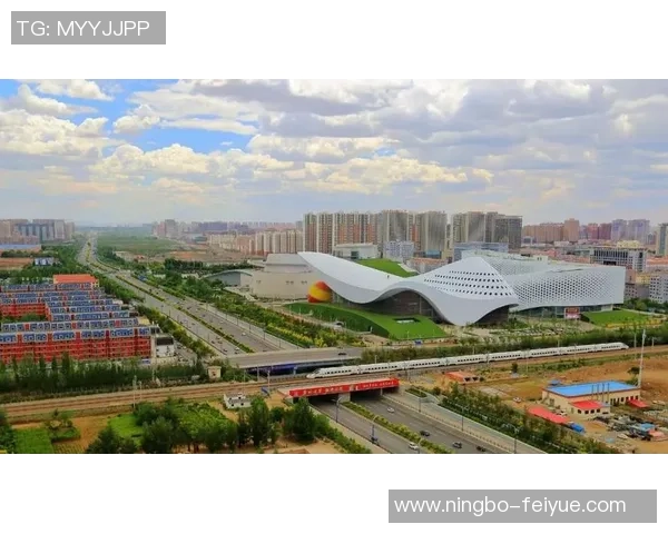 西安排球队的崛起之路总决赛特别报道见证奋斗与荣耀的历程 西安排球队的崛起之路总决赛特别报道见证奋斗与荣耀的历程