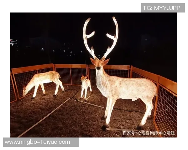 足球明星欢庆元宵节团圆夜共赏花灯共度佳节温馨时刻