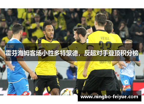 霍芬海姆客场小胜多特蒙德，反超对手登顶积分榜