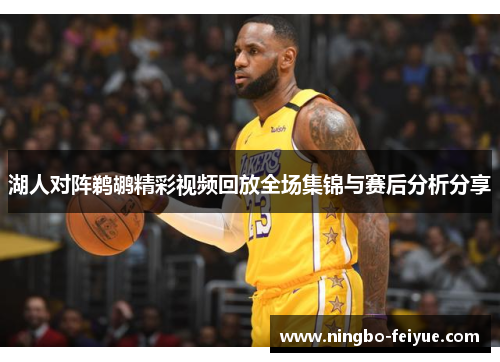 湖人对阵鹈鹕精彩视频回放全场集锦与赛后分析分享