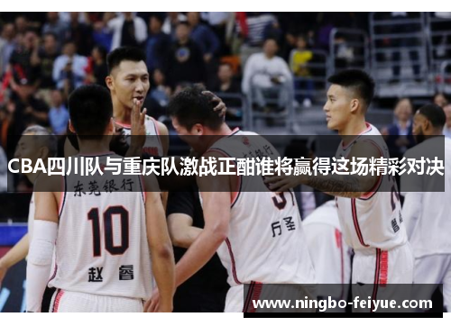 CBA四川队与重庆队激战正酣谁将赢得这场精彩对决